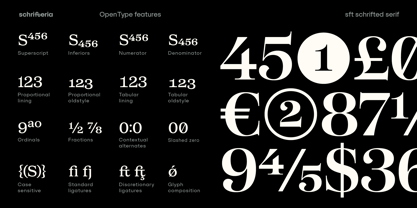 SFT Schrifted Serif Font Poster 9