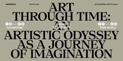 SFT Schrifted Serif Font Poster 13