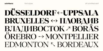 SFT Schrifted Serif Font Poster 12