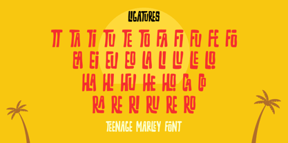 Teenage Marley Font Poster 8