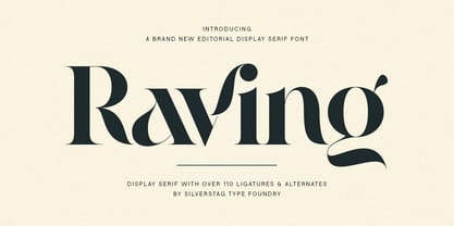 Raving Display Font Poster 1