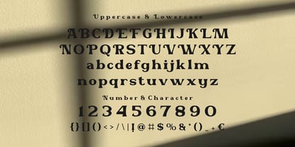 Vanderer Melody Font Poster 7