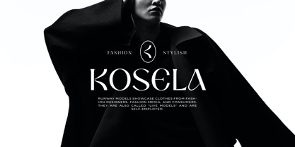 Kasepi Sans Font Poster 9