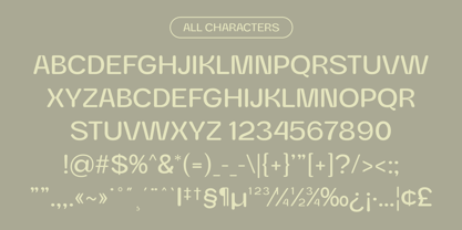 Baguede Rounded Font Poster 6