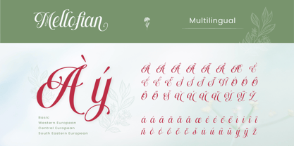 Mellofian Font Poster 10