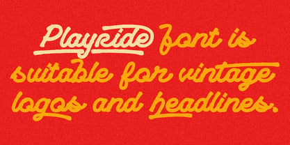 Playride Font Poster 12