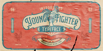 Young Fighter Font Poster 1