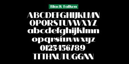 Black Falken Font Poster 9