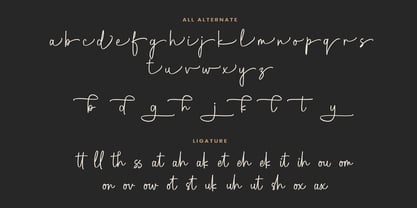 Dellanie Signature Font Poster 13