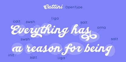 Cattini Script Font Poster 3