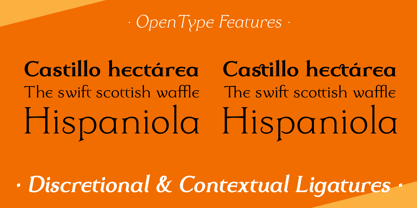 Dulcinea Serif Font Poster 8