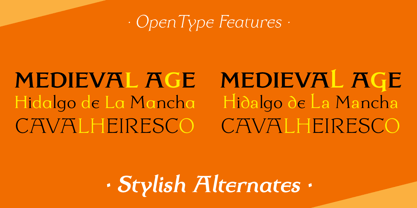 Dulcinea Serif Font Poster 11