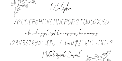 Welisha Font Poster 5