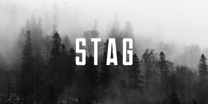 Stag Font Poster 1