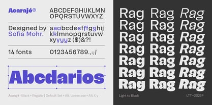 Rag Font Family - Download Free Font