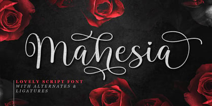 Mahesia Script Font Poster 1