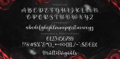 Mahesia Script Font Poster 7