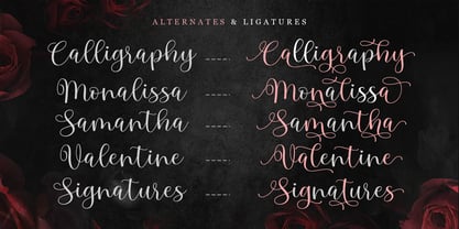 Mahesia Script Font Poster 9