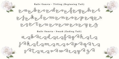 Baile Guneta Outline Font Poster 9