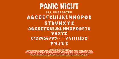 Panic Night Font Poster 7