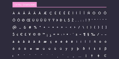 Neue George Rounded Font Poster 12