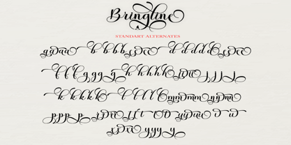 Bringline Script Font Poster 8