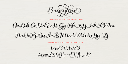 Bringline Script Font Poster 7