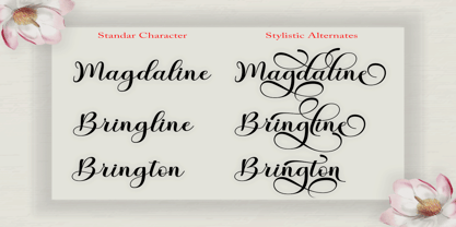 Bringline Script Font Poster 4
