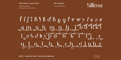 Sillena Font Poster 11