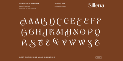 Sillena Font Poster 10