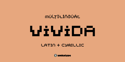 Vivida Font Poster 1