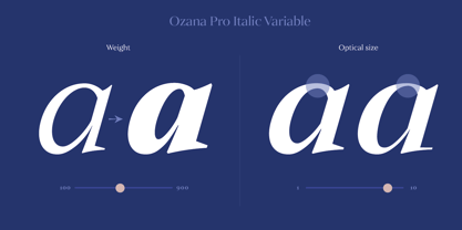 Ozana Pro Font Poster 3