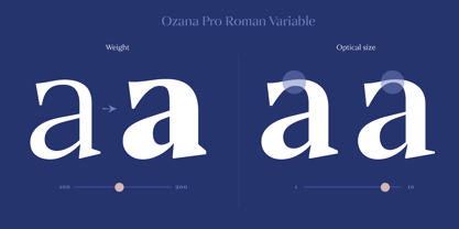 Ozana Pro Font Poster 2