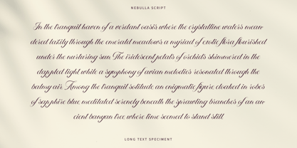 Nebulla Script Font Poster 8