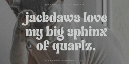 Payback Font Poster 7