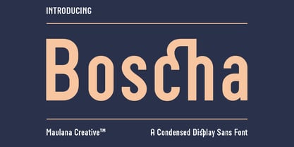 Boscha Font Poster 1