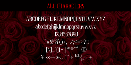 Acelon Font Poster 6