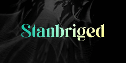 Stanbriged Font Poster 1