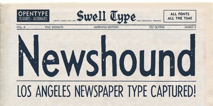 Newshound Font Poster 1