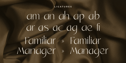 Sagitaria Font Poster 8