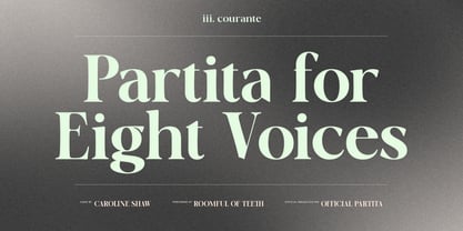 OV Cotin Serif Font Poster 2