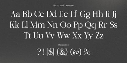 OV Cotin Serif Font Poster 11