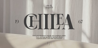 OV Cotin Serif Font Poster 14