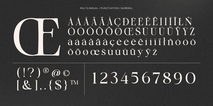 OV Cotin Serif Font Poster 13