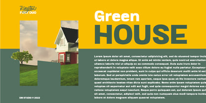 Ringtail Font Poster 7