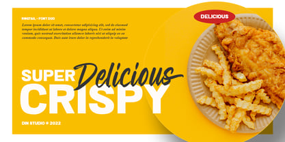 Ringtail Font Poster 3