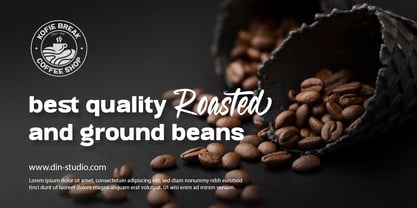 Ringtail Font Poster 5