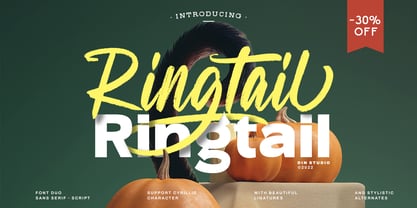 Ringtail Font Poster 1