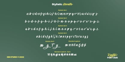 Ringtail Font Poster 9
