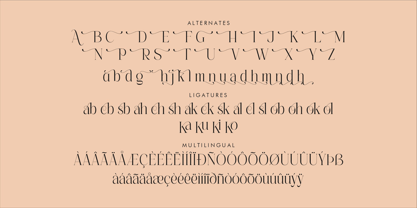 Alchadera Font Poster 8